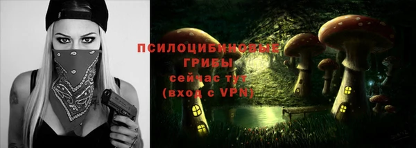 Альфа ПВП Абдулино