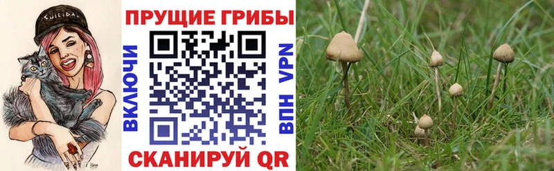 Галлюциногенные грибы GOLDEN TEACHER  Ардатов 